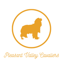 Pleasant Valley Cavaliers